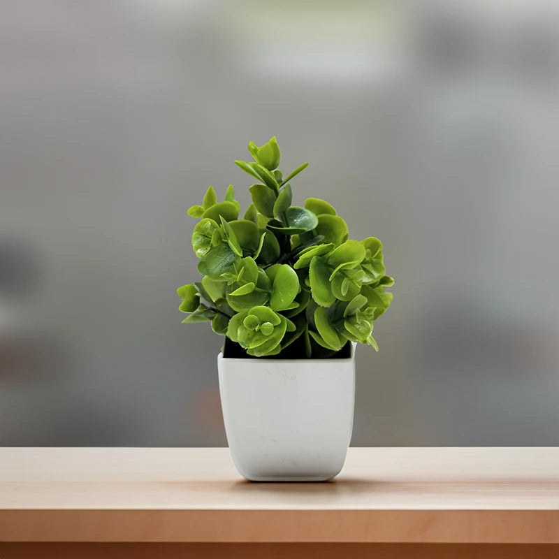 Planta Artificial Decoração